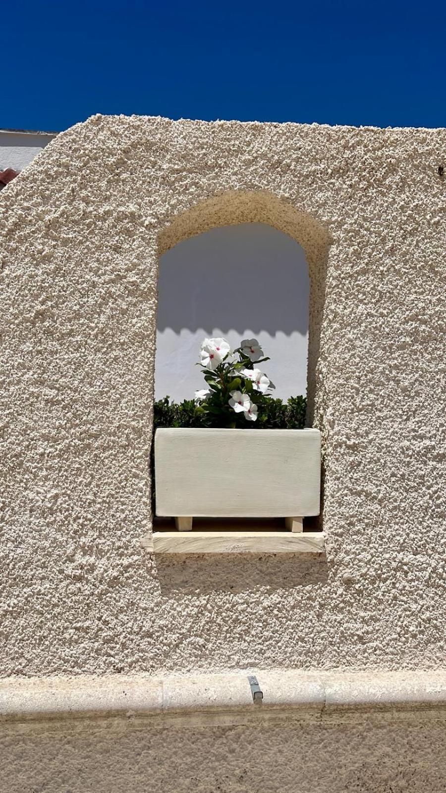 Perla Bianca Elite Villa มารีนา ดี ลิซซาโน ภายนอก รูปภาพ